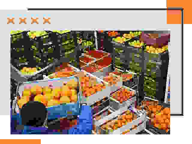 Перевозка скоропортящихся продуктов в щербинке